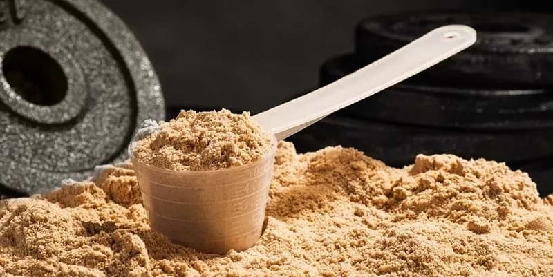 BỘT WHEY POWDER