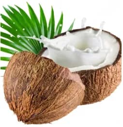 HƯƠNG DỪA THỰC PHẨM – VỊ BÉO THƠM TỰ NHIÊN