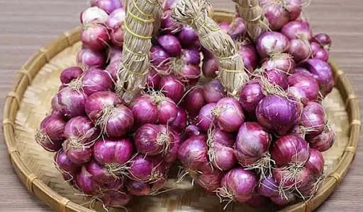 HƯƠNG HÀNH TÍM – KHƠI DẬY VỊ NGON TRUYỀN THỐNG