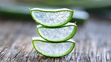HƯƠNG NHA ĐAM – NỐT HƯƠNG THANH KHIẾT CHO CUỘC SỐNG XANH