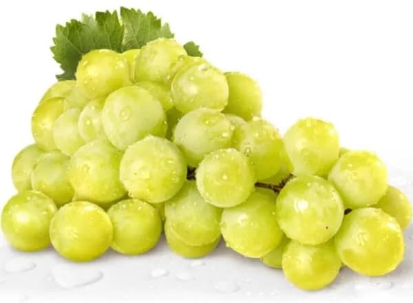 HƯƠNG NHO – VỊ NGỌT MỌNG NƯỚC, HƯƠNG THƠM QUYẾN RŨ