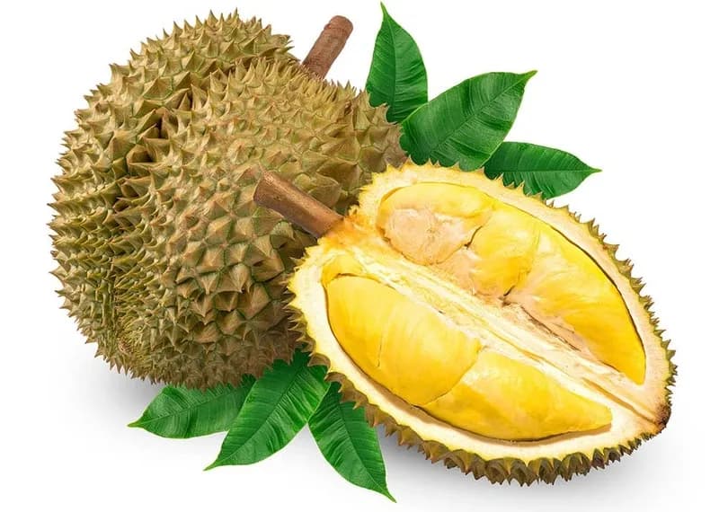 HƯƠNG SẦU RIÊNG – THƠM NỒNG NÀN, VỊ BÉO NGẬY