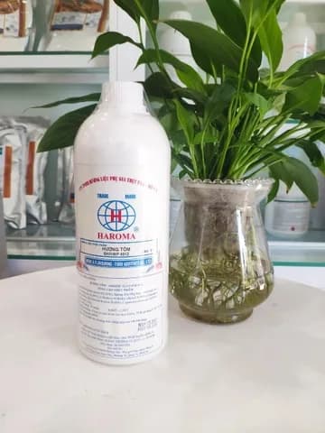 HƯƠNG THỰC PHẨM DẠNG NƯỚC – ĐA DẠNG & TINH TẾ